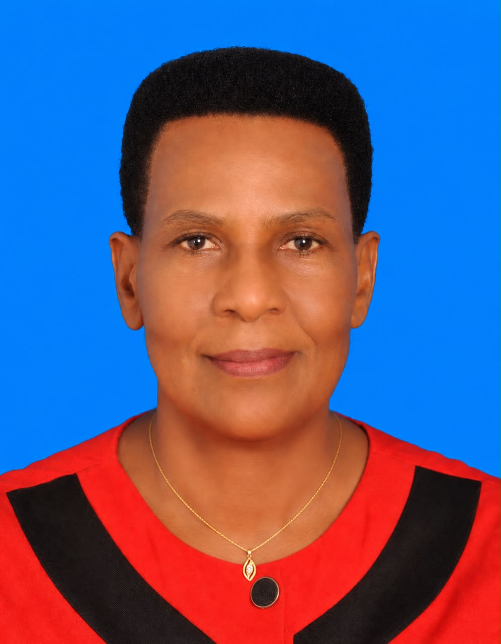 Dr. Vumilia Bettuel Mmari